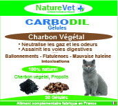 Carbodil chat