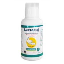 Lactacal 5L (BIOVE)