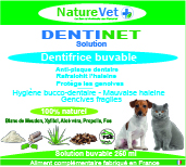 Dentinet 250ml